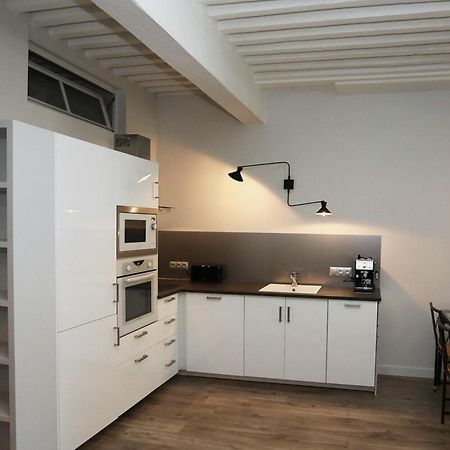 55 M2 Apart With Big Terrace In Annecy Downtown Exteriér fotografie