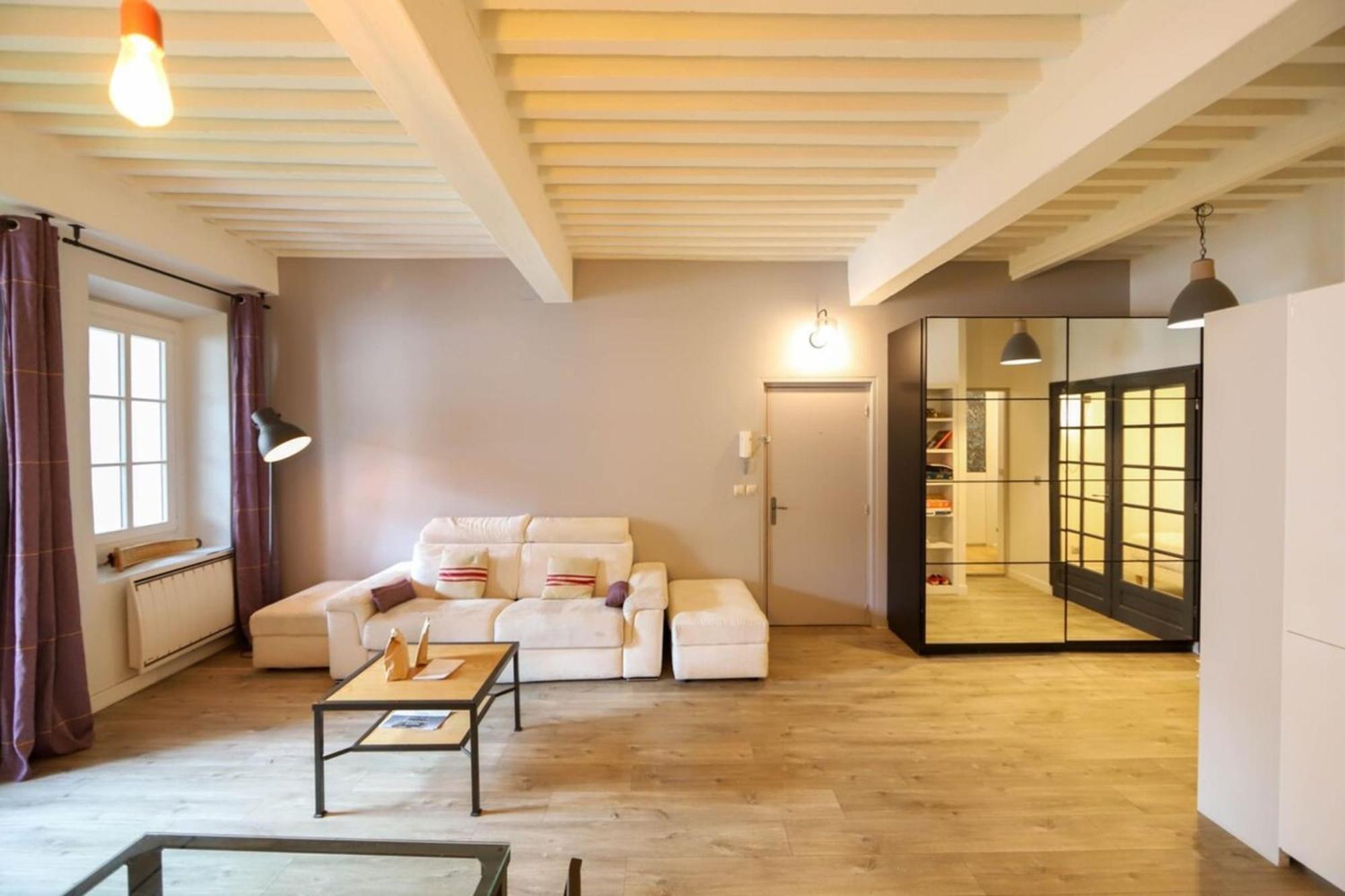 55 M2 Apart With Big Terrace In Annecy Downtown Exteriér fotografie