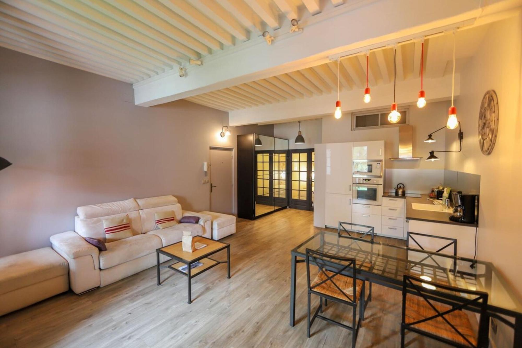 55 M2 Apart With Big Terrace In Annecy Downtown Exteriér fotografie